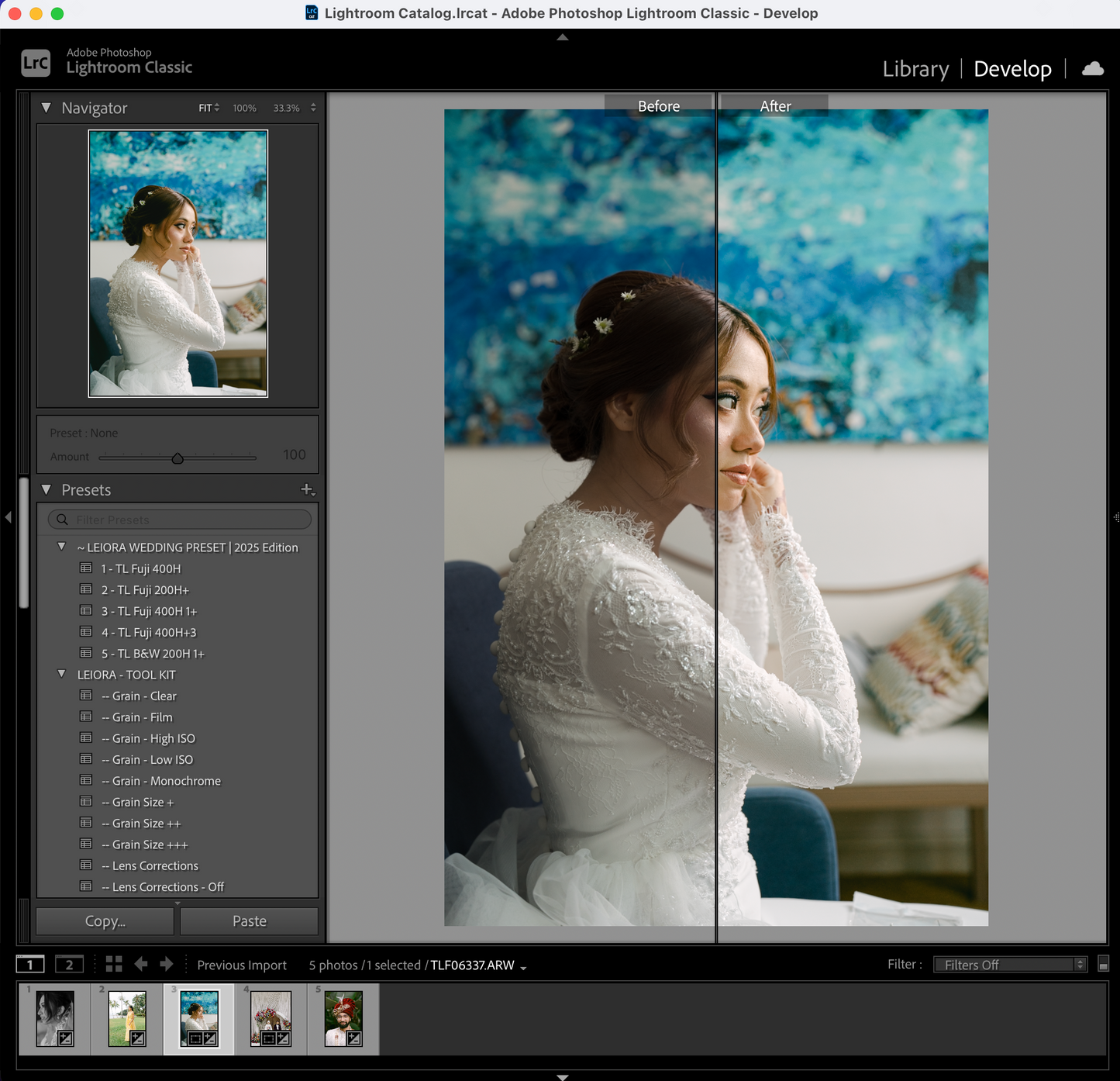 Leiora Wedding Presets | 2025 Edition