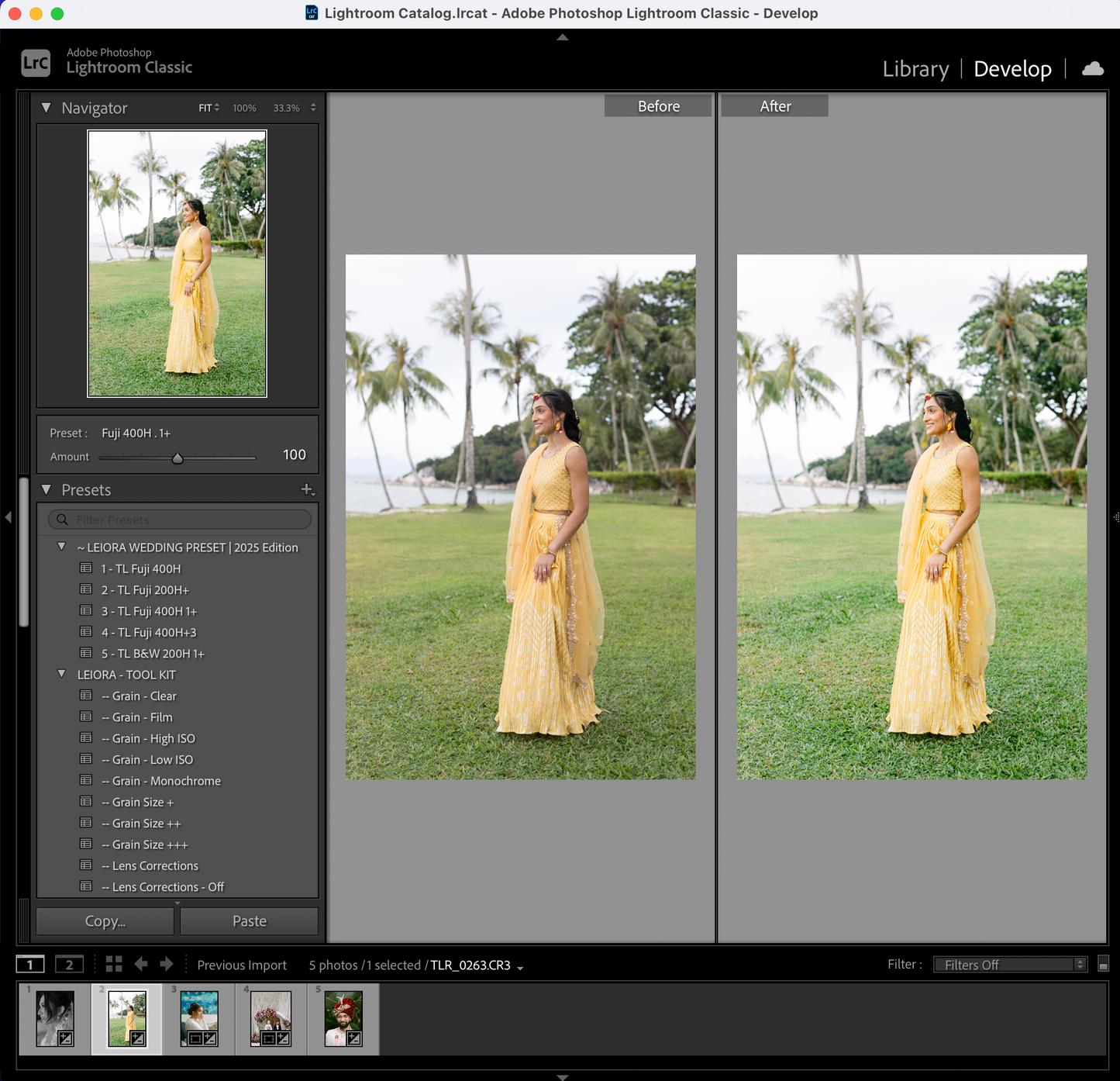 Leiora Wedding Presets | 2025 Edition